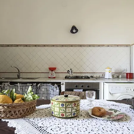 Il Nido Di Barbagianni
