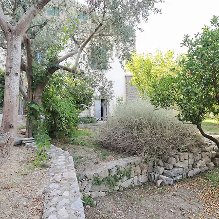Il Nido Di Barbagianni
