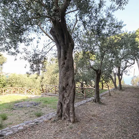 Il Nido Di Barbagianni Σπίτι διακοπών Σορέντο