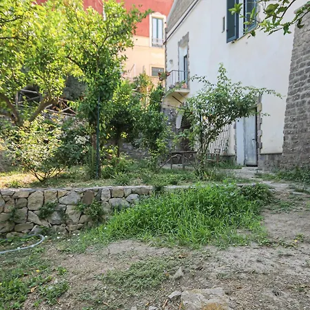 Il Nido Di Barbagianni